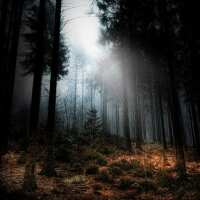 Lesen LED Bilder Bewertungen
